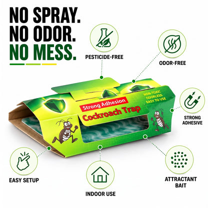 Cockroach Glue Trap